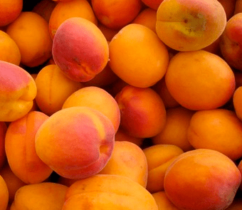 Screen Shot 2016-07-13 at 8.38.01 PM